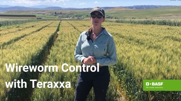 Understanding the Reddy Anna ID: Community, Identity, and the Reddy Book Club